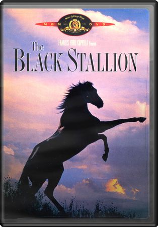 The Black Stallion